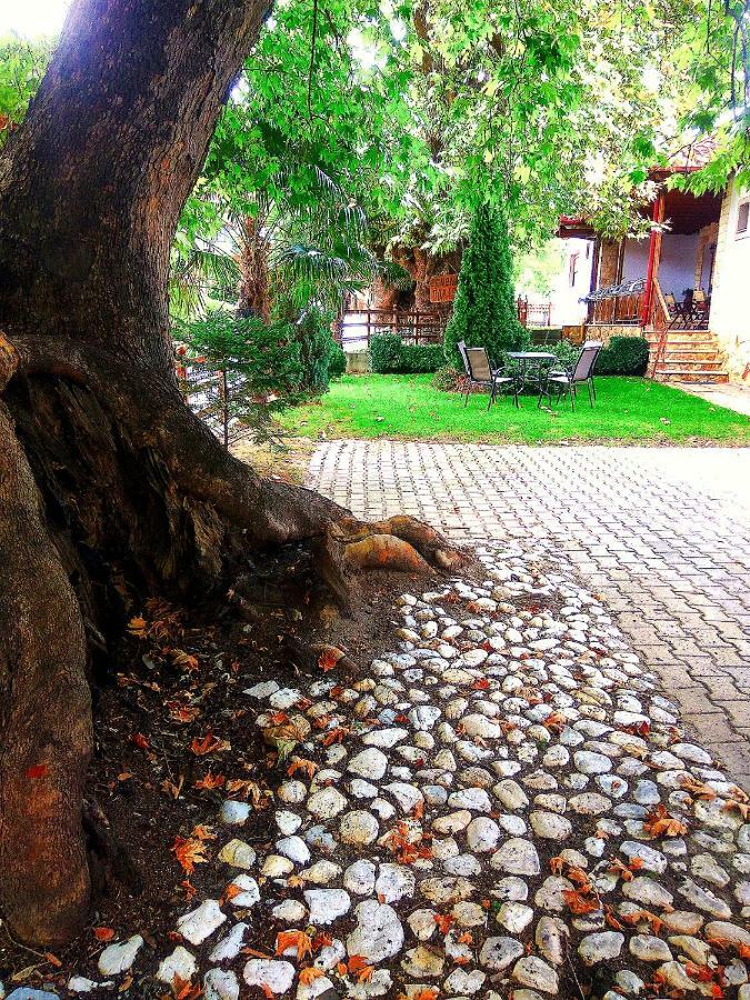 Guesthouse Platon Орма Екстер'єр фото